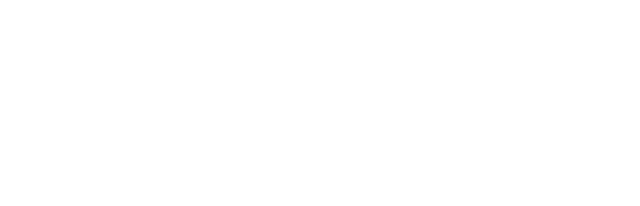 PING Logo